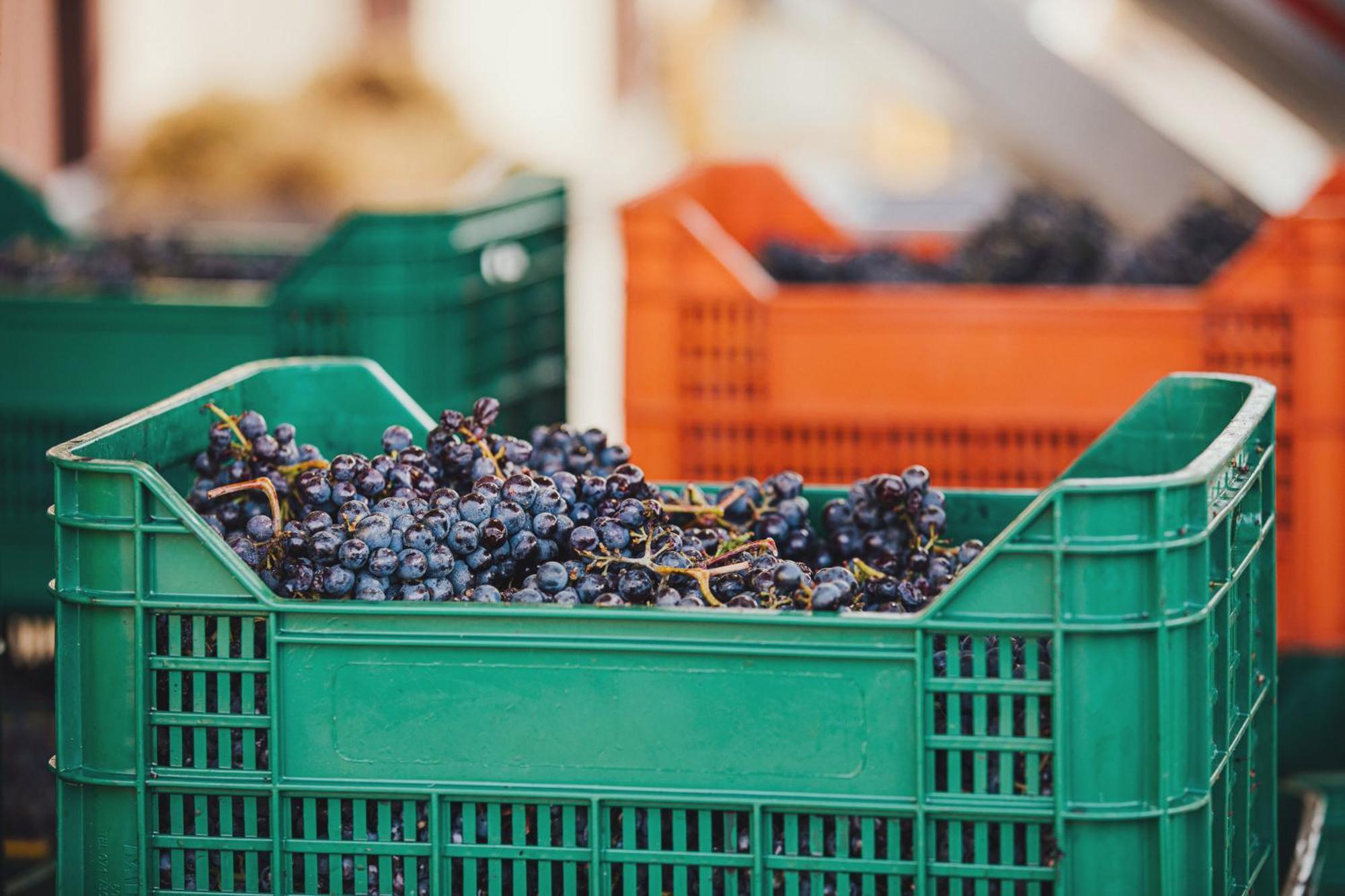 La Valletta Boutique Wine Estate Panzano in Chianti Εξωτερικό φωτογραφία