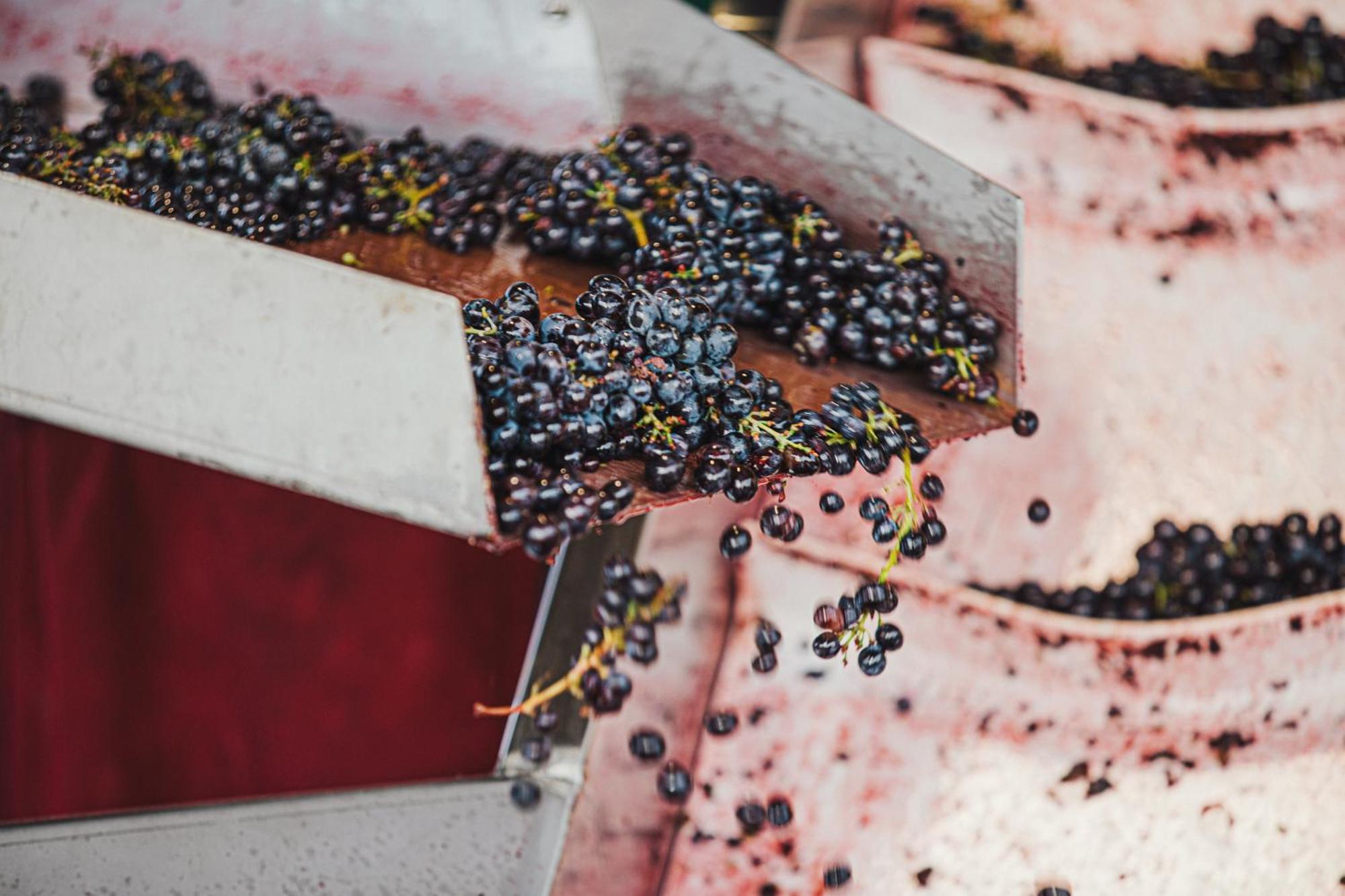 La Valletta Boutique Wine Estate Panzano in Chianti Εξωτερικό φωτογραφία