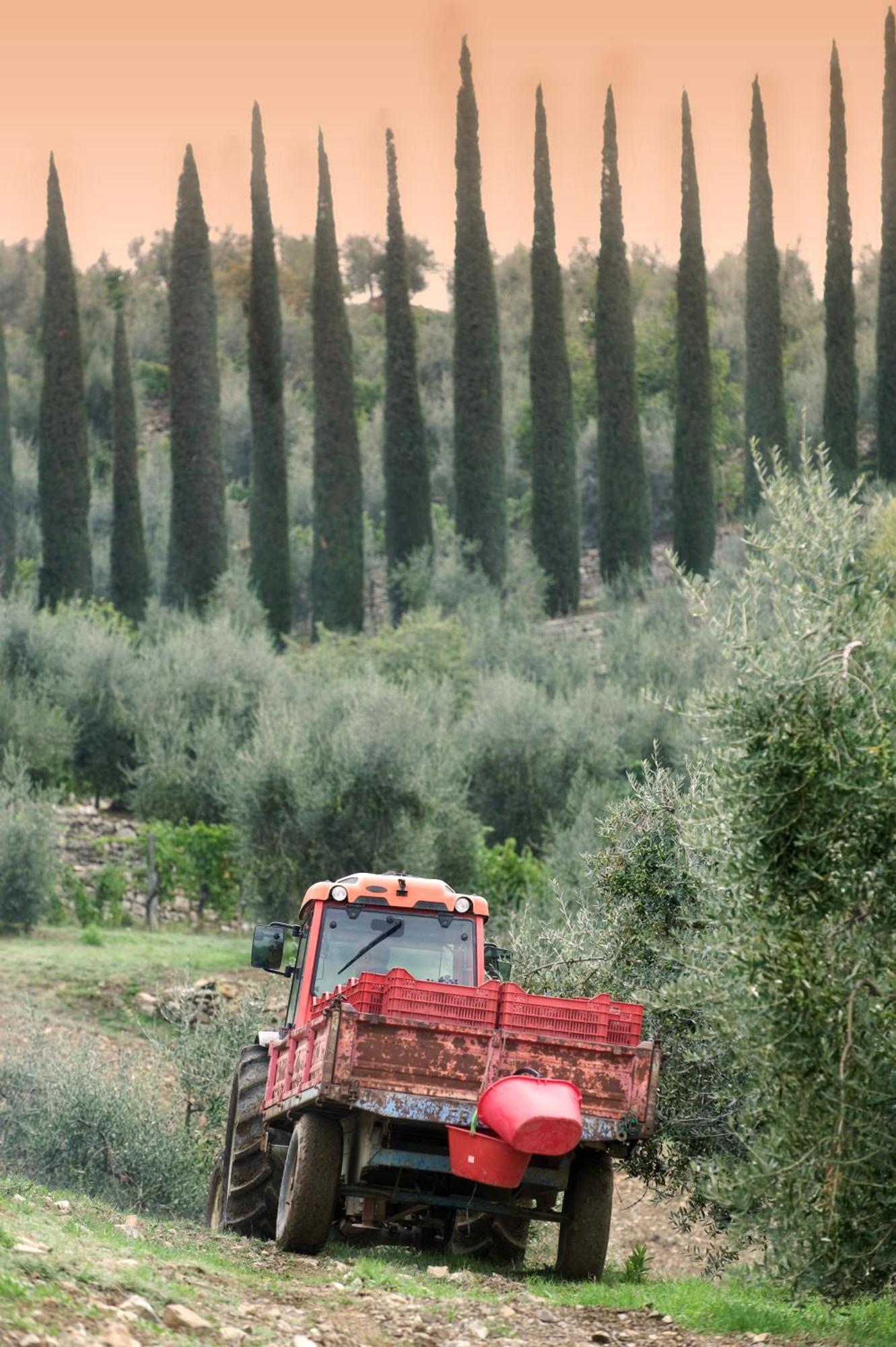 La Valletta Boutique Wine Estate Panzano in Chianti Εξωτερικό φωτογραφία